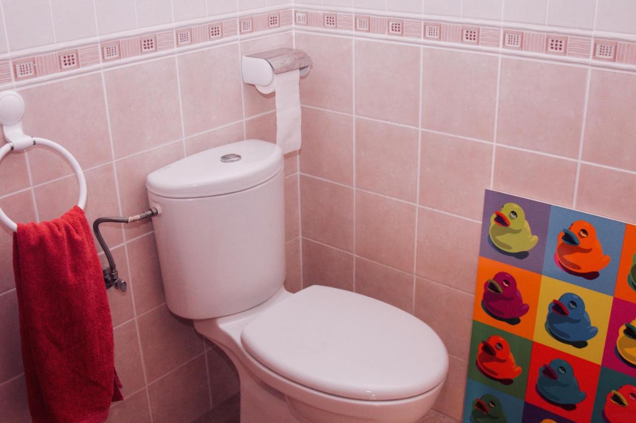 Apartamento Vista Al Ara Ainsa Bagian luar foto
